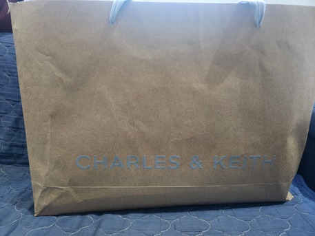 Khobar, Purses & Wallets, SAR 550,  Charles & Keith Hand Bag