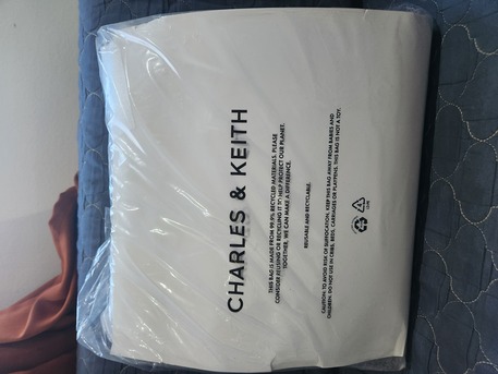 Khobar, Purses & Wallets, SAR 550,  Charles & Keith Hand Bag