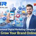 Professional Digital Marketing Company In Delhi | Grow Your Brand Online