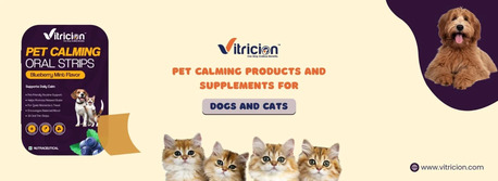 Ahmedabad, Health, Choose The Right Pet Calming Products For Dogs & Cats