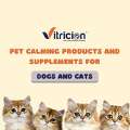 Choose The Right Pet Calming Products For Dogs & Cats