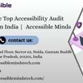 Top Accessibility Audit Companies In India | Accessible Minds