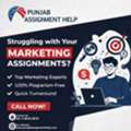 Marketing Assignment Help In Australia | Punjab Assignment Help