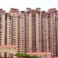 Studio,  Amrapali Flats For Sale In Noida | Budget Flats