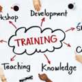 Customized Training Solutions For Workforce Excellence