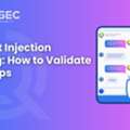 Prompt Injection Testing: How To Validate LLM Apps