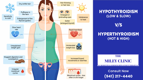 San Francisco, Collectibles, Thyroid Test & Hormone Replacement Therapy Sarasota FL