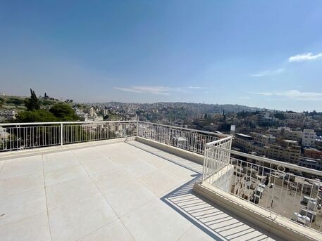 Amman, Apartments/Houses, JOD 9000/year,  Furnished,  1 BR,  Rooftop Fully Furnished One Bedroom Apart With Big Terrace  Jabal Webdeh 00962777688956