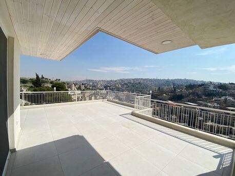 Amman, Apartments/Houses, JOD 9000/year,  Furnished,  1 BR,  Rooftop Fully Furnished One Bedroom Apart With Big Terrace  Jabal Webdeh 00962777688956