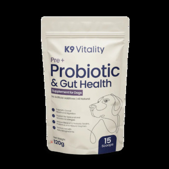 Mumbai, Food, Probiotic For Dog. Daily Digestive And Gut Health Support