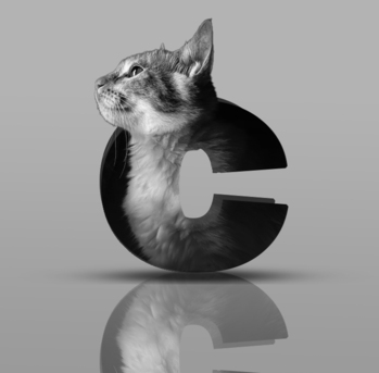 Chennai, Graphic Design, Creative Graphic Design Services