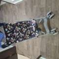 SAR 110,  Baby Stroller