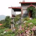 Hotel In Nainital Uttarakhand | Homestay In Pangot