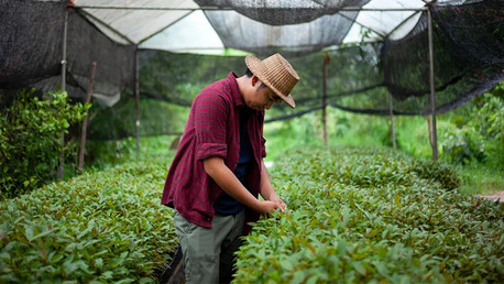 Jakarta, Wholesale Products, Trusted Kratom Exporter &ndash; Bulk Supply Tribeka