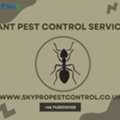 Trusted Ant Pest Control Service For Homes & Businesses