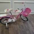 SAR 300,  Skid Fusion Bicycle