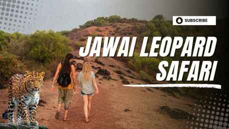 Mumbai, Guides/Interpreters, Jawai Leopard Safari