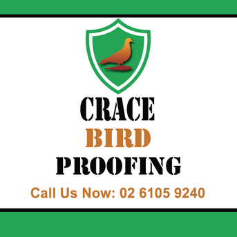 Sydney, Pest Control, Crace Bird Proofing