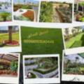 Landscaping,Irrigation Installation, Plants And Grass In Riyadh Saudi Arabia