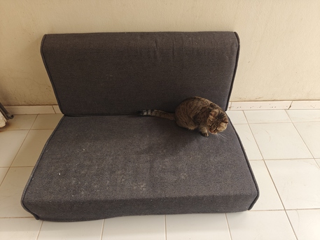 Riyadh, Furniture, SAR 150,  Majis Sofa