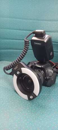 Abha, Photo & Video, SAR 2800,  Camera DSLR "Canon" EOS 600D