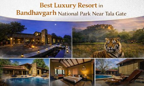 Bhopal, Travel, Best Luxury Resort In Bandhavgarh National Park Near Tala Gate