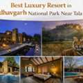 Best Luxury Resort In Bandhavgarh National Park Near Tala Gate