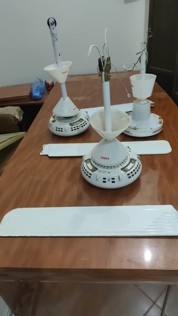 Jeddah, Household Items, SAR 650,  (Many Household Items)Impex 55-inch Smart TV With 4K Ultra HD And LED Techn &ndash; Gloria Black