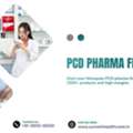 PCD Pharma Franchise