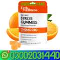 PKR 8450,  THC Free STRESS Gummies Vegan Juicy Orange In Lahore=03002031440=