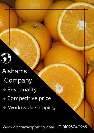 Dhaka, Farm & Garden, FRESH ORANGE