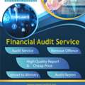 Business Audit