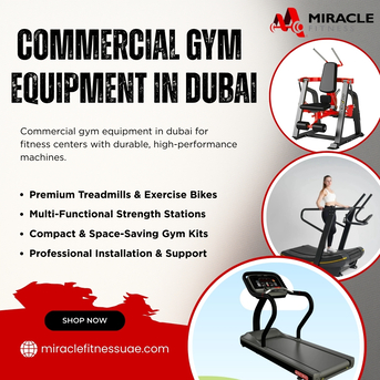 Dubai, Shops, Buy Boxing Gear Online UAE | Bags & Gloves At Miracle Fitness