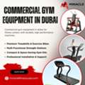 Buy Boxing Gear Online UAE | Bags & Gloves At Miracle Fitness