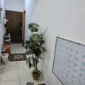 SAR 34000/month,  2 BR,  Flat 2 Bedrooms 1 Hall Kitchen 1 Washroom Located In Ghirnatha Rent 34000 Wter 1000