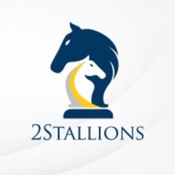 Kuala Lumpur, Web Design & Development, 2Stallions Malaysia - Digital Marketing Agency