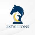 2Stallions Malaysia - Digital Marketing Agency