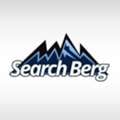 Starting At Just $199, Search Berg Offers A GMB Reinstatement Service