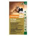 USD 38,  Save 25% On Advantage Multi For Dogs | BestVetCare