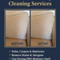 Professional Couch Deep Cleaning Services Bahrain