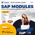 Build Industry-Ready SAP Skills With Expert Training