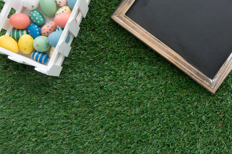 San Francisco, Household, Best Pet-Friendly Artificial Grass &ndash; Durable, Easy-Care Turf For Pets