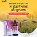 INR 570,  Animal Nutrition Supplements