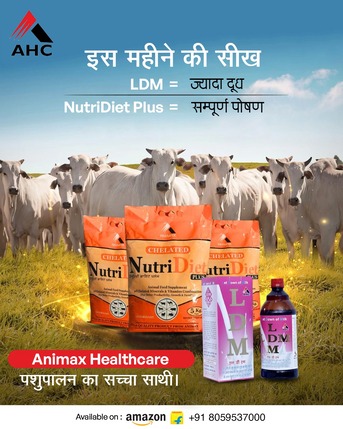 New Delhi, Health & Beauty Items, INR 570,  Animal Nutrition Supplements