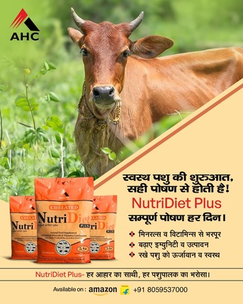 New Delhi, Health & Beauty Items, INR 570,  Animal Nutrition Supplements