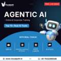 Agentic AI Training | Agentic AI Course In Hyderabad