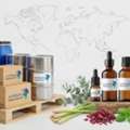 Essential Oil Exporters In India &ndash; Bulk & Export Quality Supply