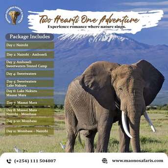 Nairobi, Travel, Kenya Tanzania Adventure Safari Tours | Custom Safari Travel Packages