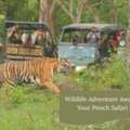 Wildlife Adventure Awaits Book Your Pench Safari Now