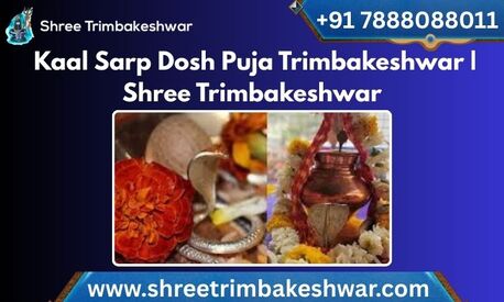 Mumbai, Business, Kaal Sarp Dosh Puja Trimbakeshwar | Shree Trimbakeshwar